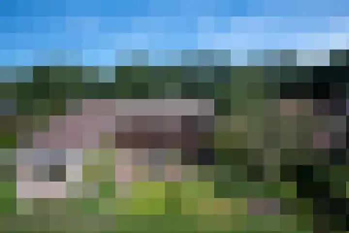 Elsschotlaan 14 Groningen thumbnail 37