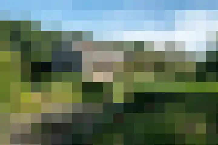 Elsschotlaan 14 Groningen thumbnail 38