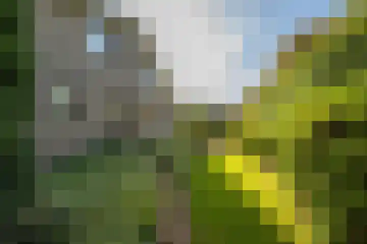Elsschotlaan 14 Groningen thumbnail 39