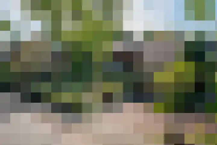 Elsschotlaan 14 Groningen thumbnail 4