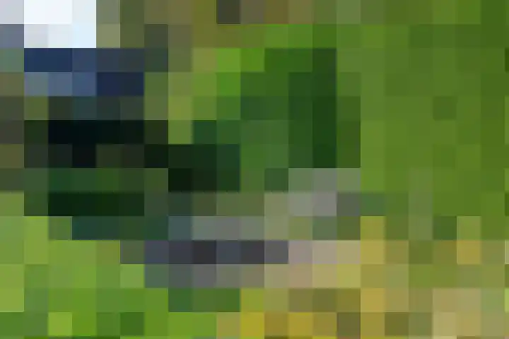 Elsschotlaan 14 Groningen thumbnail 40