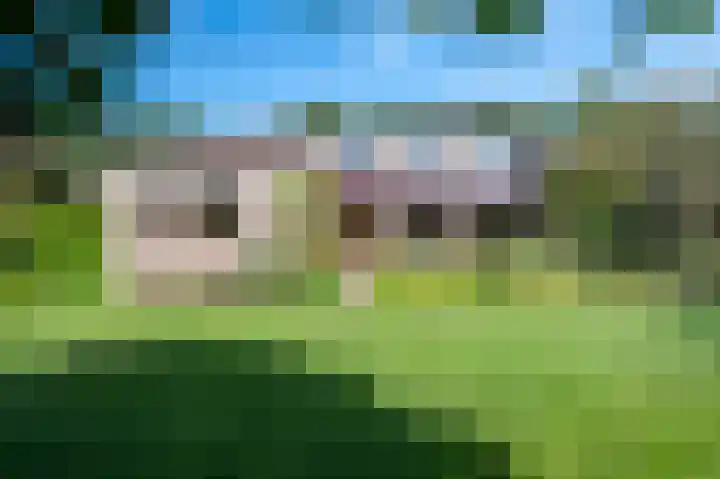 Elsschotlaan 14 Groningen thumbnail 41