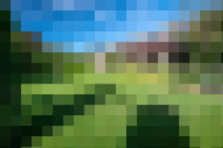 Elsschotlaan 14 Groningen thumbnail 42