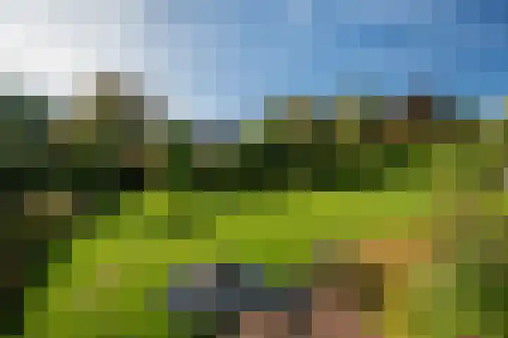 Elsschotlaan 14 Groningen thumbnail 43