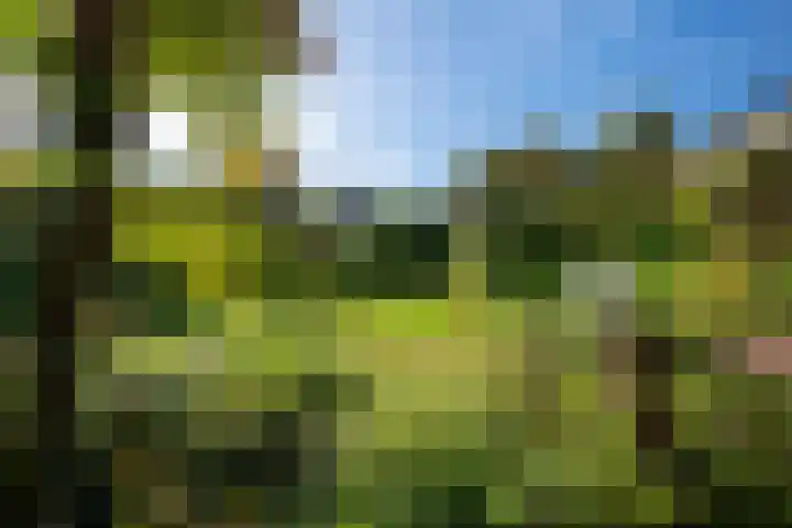 Elsschotlaan 14 Groningen thumbnail 44