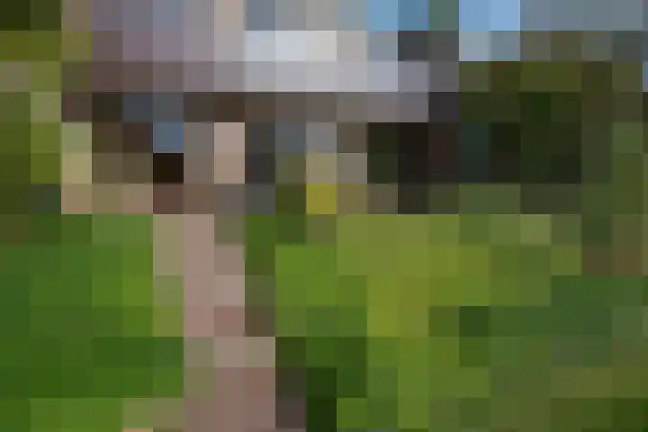 Elsschotlaan 14 Groningen thumbnail 46