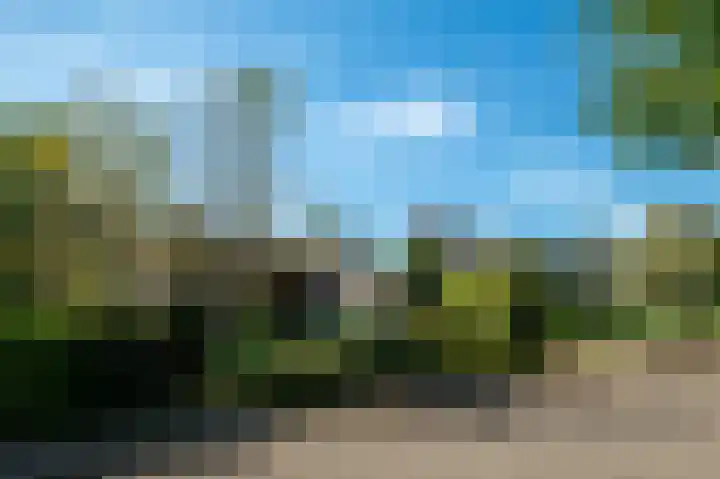 Elsschotlaan 14 Groningen thumbnail 5