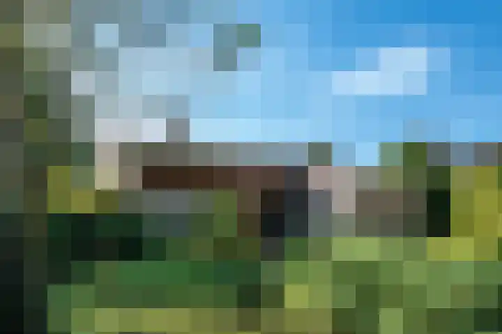 Elsschotlaan 14 Groningen thumbnail 6