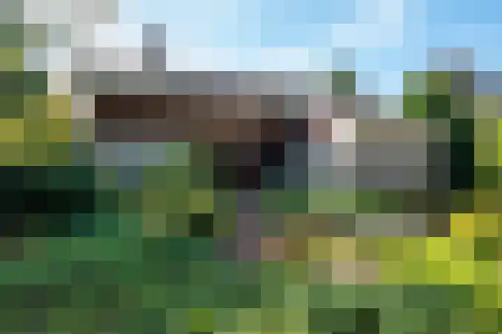 Elsschotlaan 14 Groningen thumbnail 7