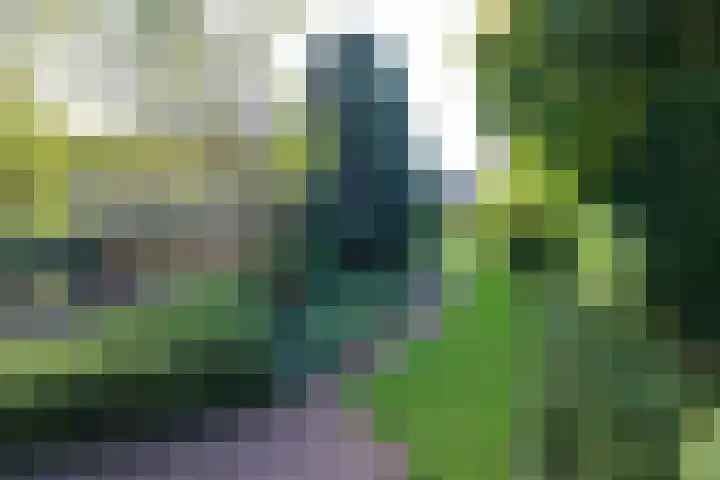 Elsschotlaan 14 Groningen thumbnail 8