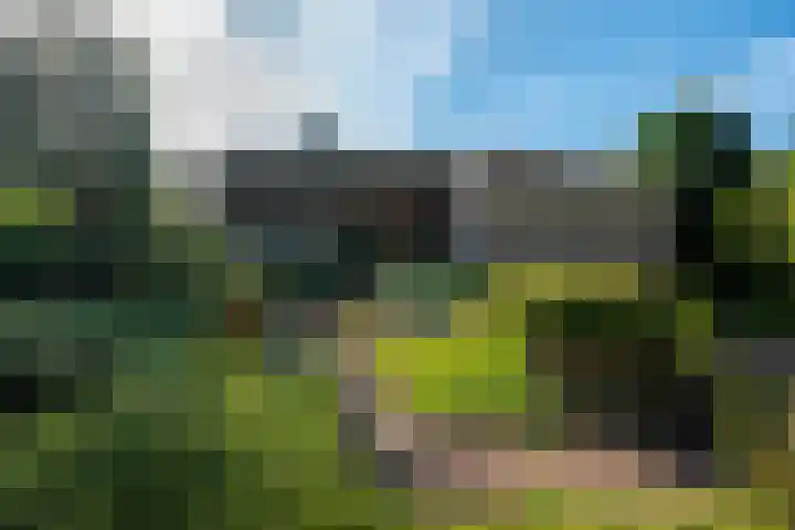 Elsschotlaan 14 Groningen thumbnail 9