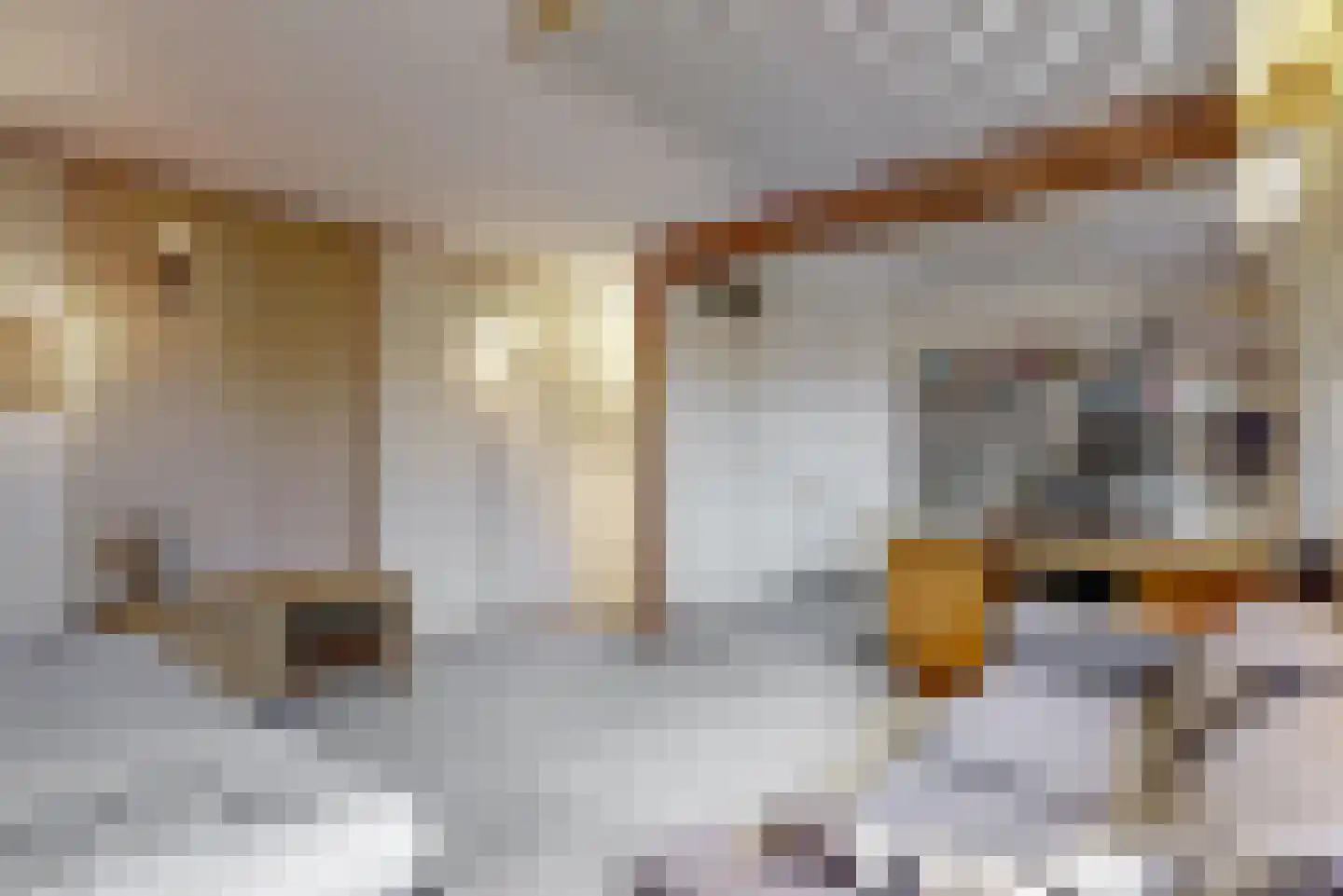 Elsschotlaan 34 Uithoorn thumbnail 14