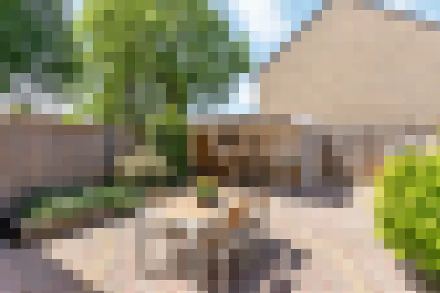 Elsschotplantsoen 20 Hengelo thumbnail 17