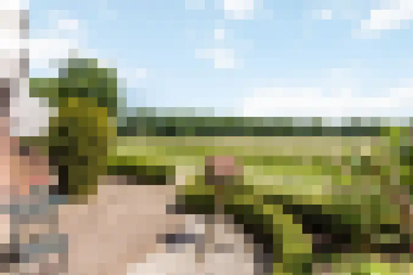 Elsschotplantsoen 20 Hengelo thumbnail 19