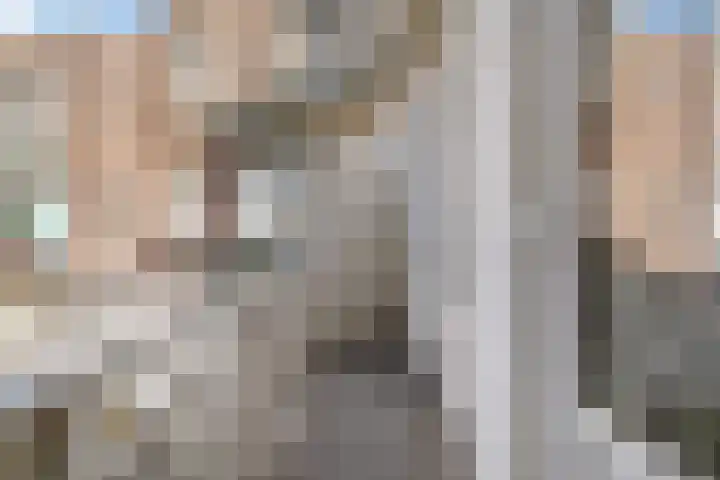 Elsstraat 1 Den Haag thumbnail 17