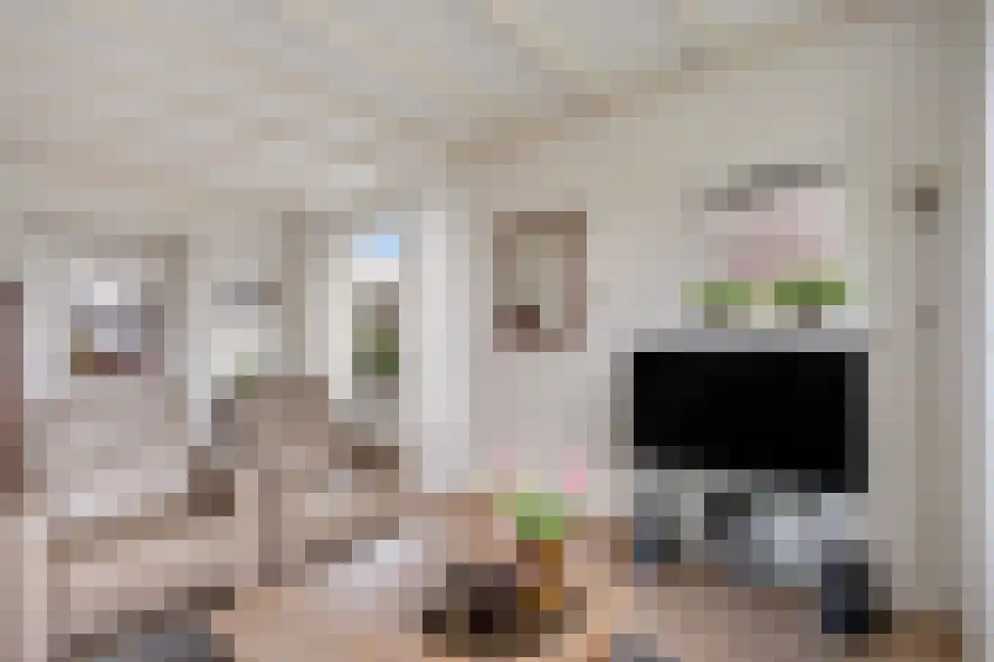 Elsstraat 1 Huissen thumbnail 10