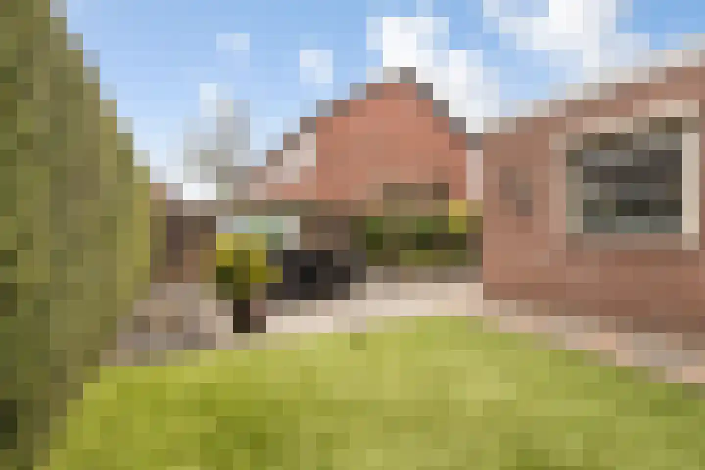 Elsstraat 1 Huissen thumbnail 19