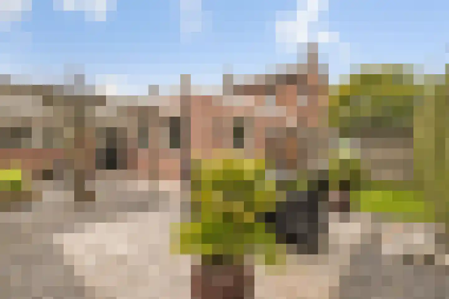 Elsstraat 1 Huissen thumbnail 20