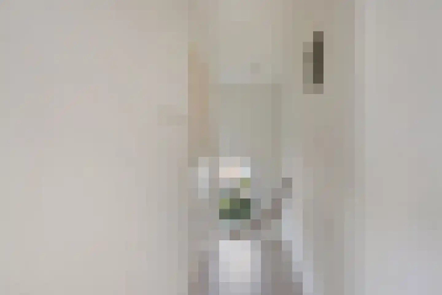 Elsstraat 1 Huissen thumbnail 25