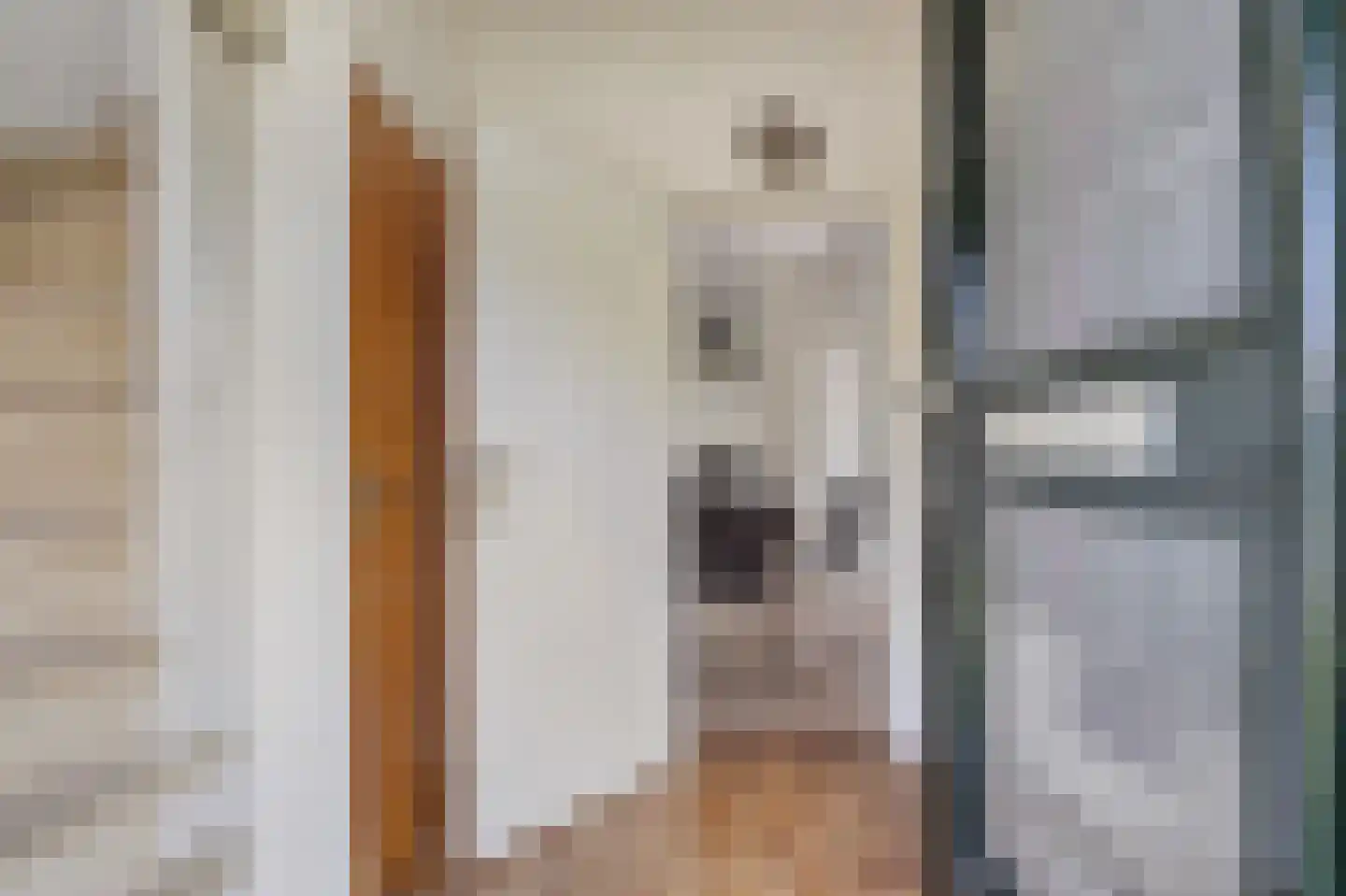 Elsstraat 1 Huissen thumbnail 6