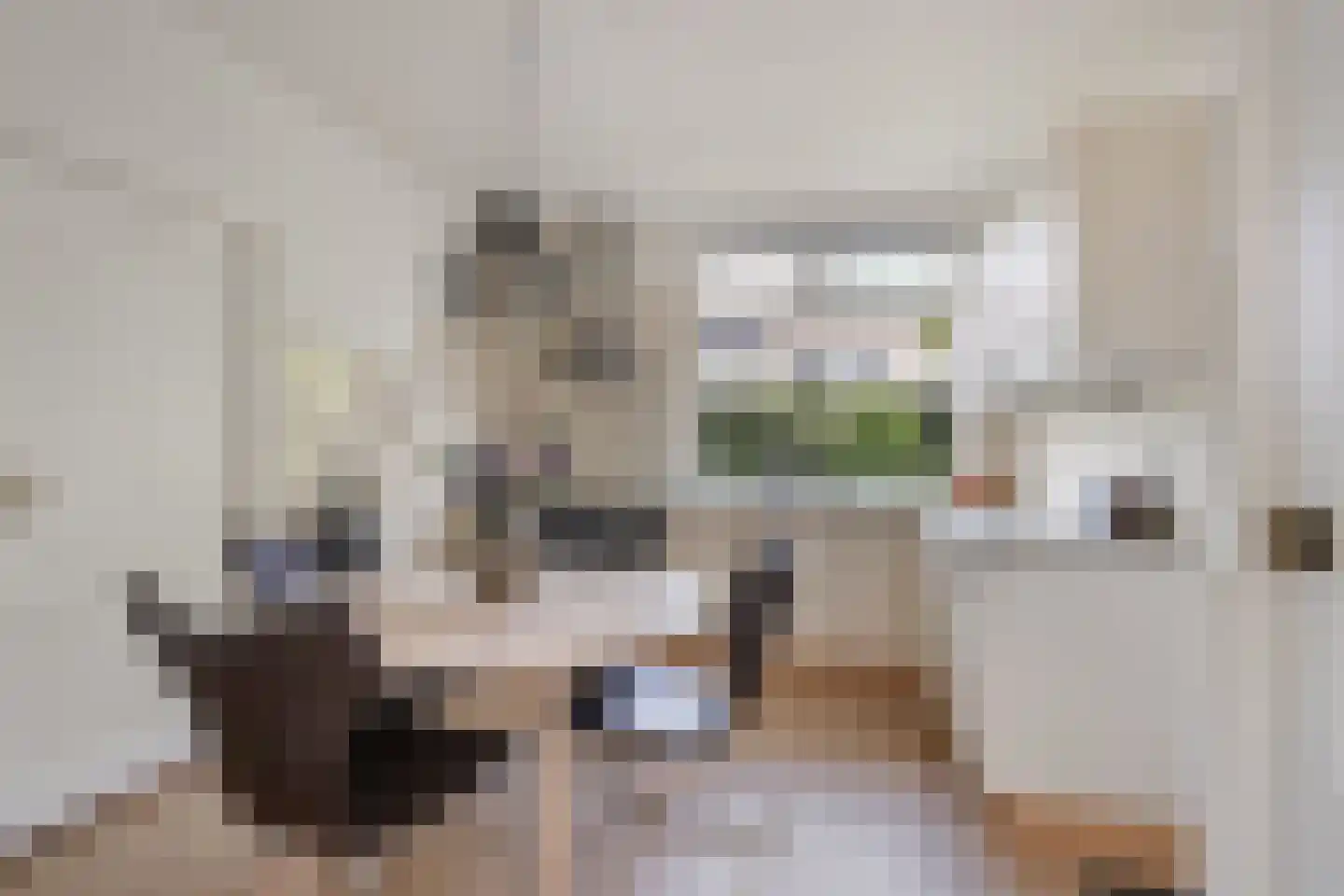 Elsstraat 1 Huissen thumbnail 7