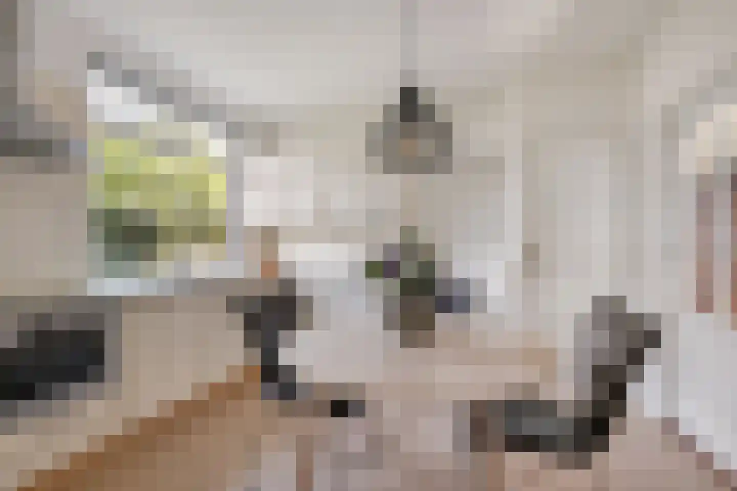 Elsstraat 1 Huissen thumbnail 8