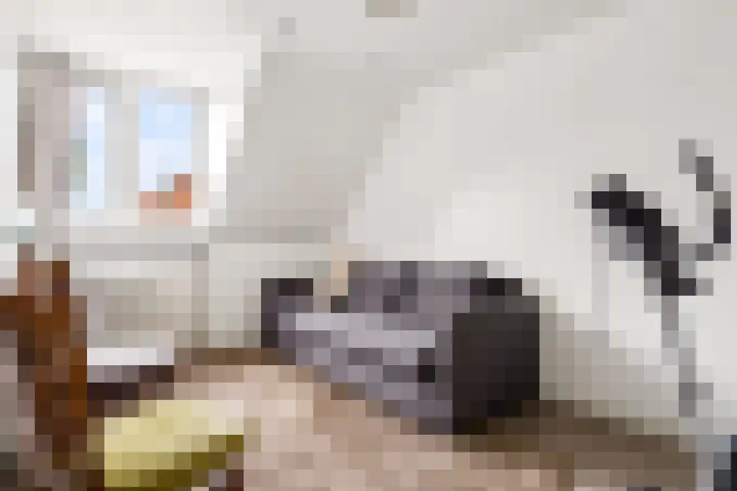 Elsstraat 1 Utrecht thumbnail 20