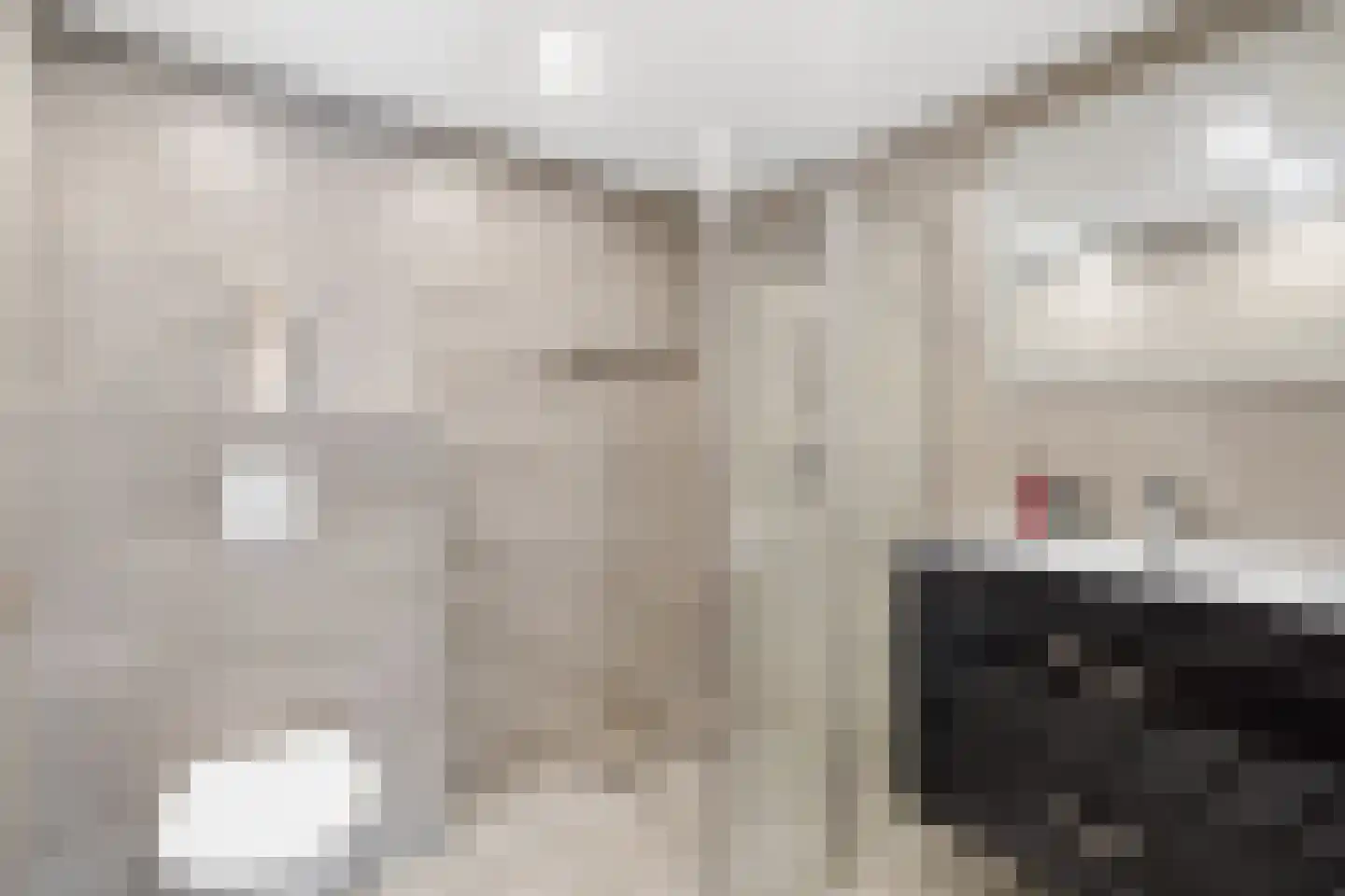 Elsstraat 1 Utrecht thumbnail 22
