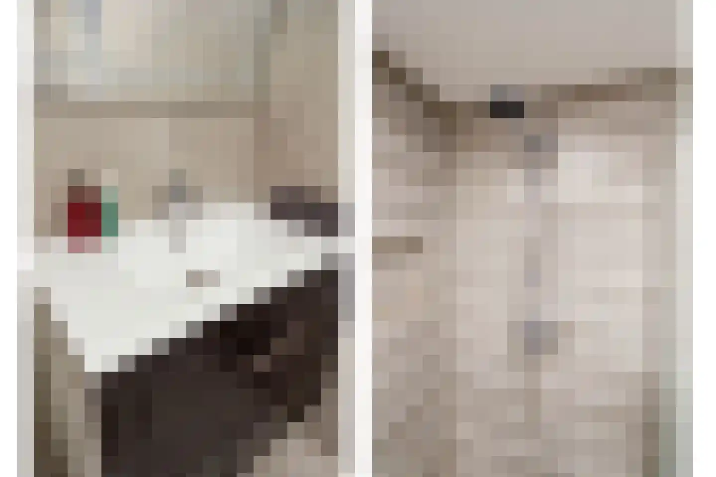 Elsstraat 1 Utrecht thumbnail 23