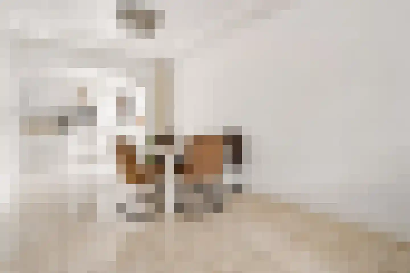 Elsstraat 1 Utrecht thumbnail 7