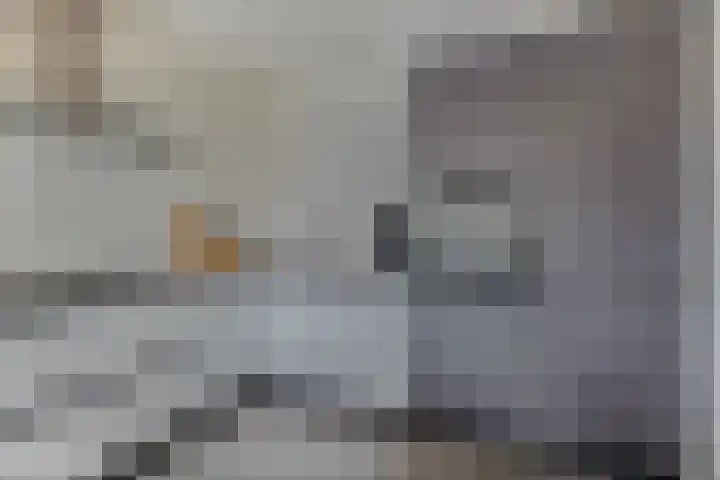 Elsstraat 13 Beek thumbnail 14