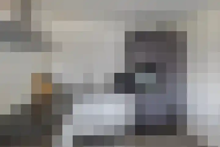 Elsstraat 13 Beek thumbnail 15