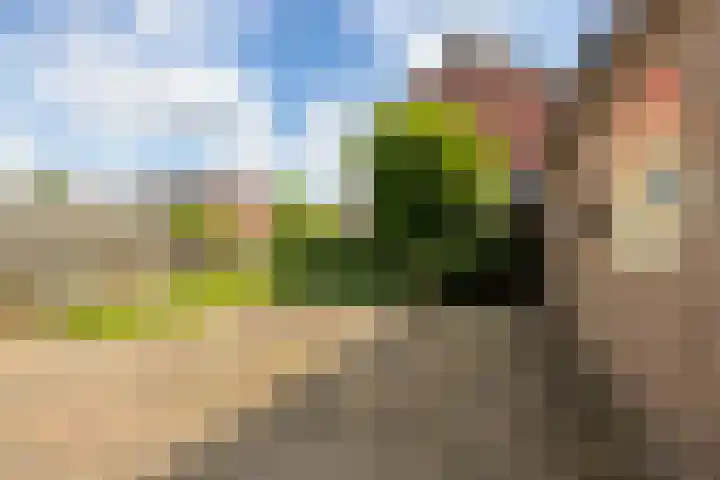 Elsstraat 15 Huissen thumbnail 12