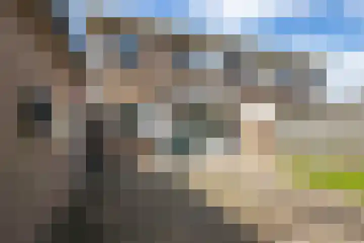 Elsstraat 15 Huissen thumbnail 13