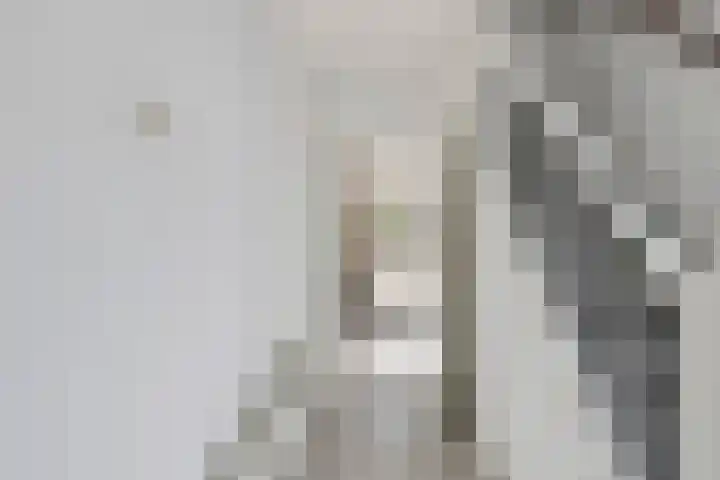 Elsstraat 15 Huissen thumbnail 4