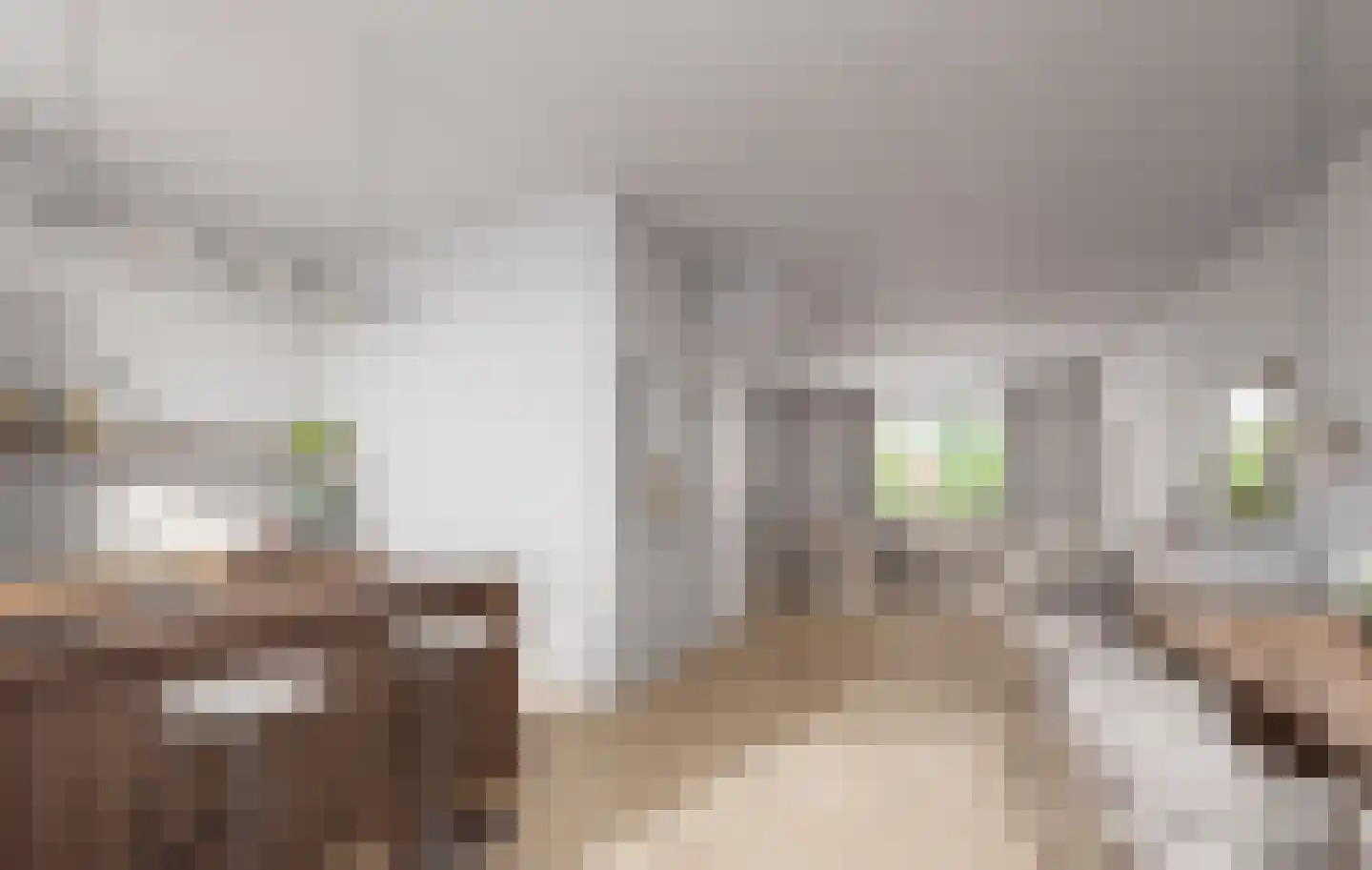Elsstraat 3 Utrecht thumbnail 19