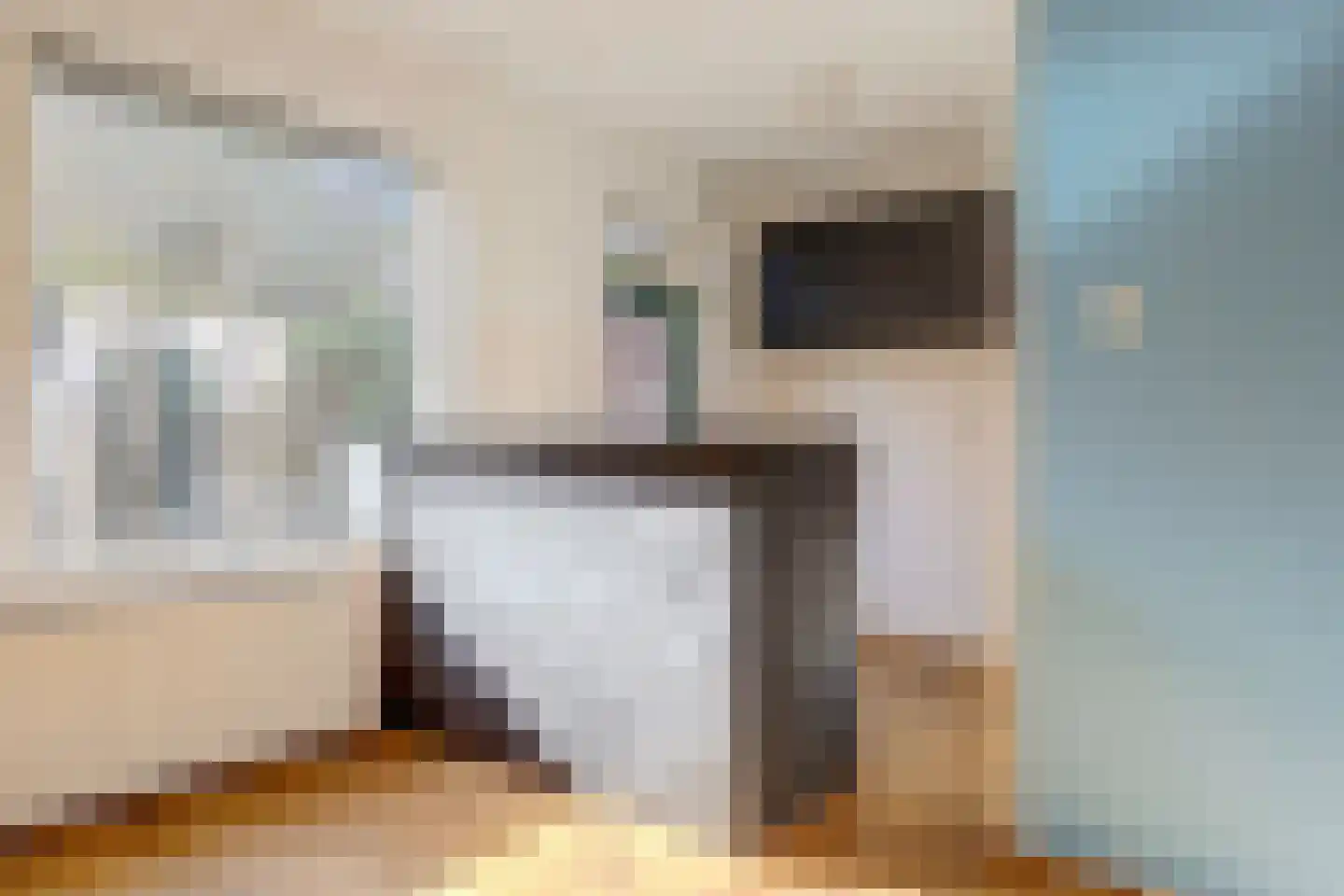 Elsstraat 3 Utrecht thumbnail 9