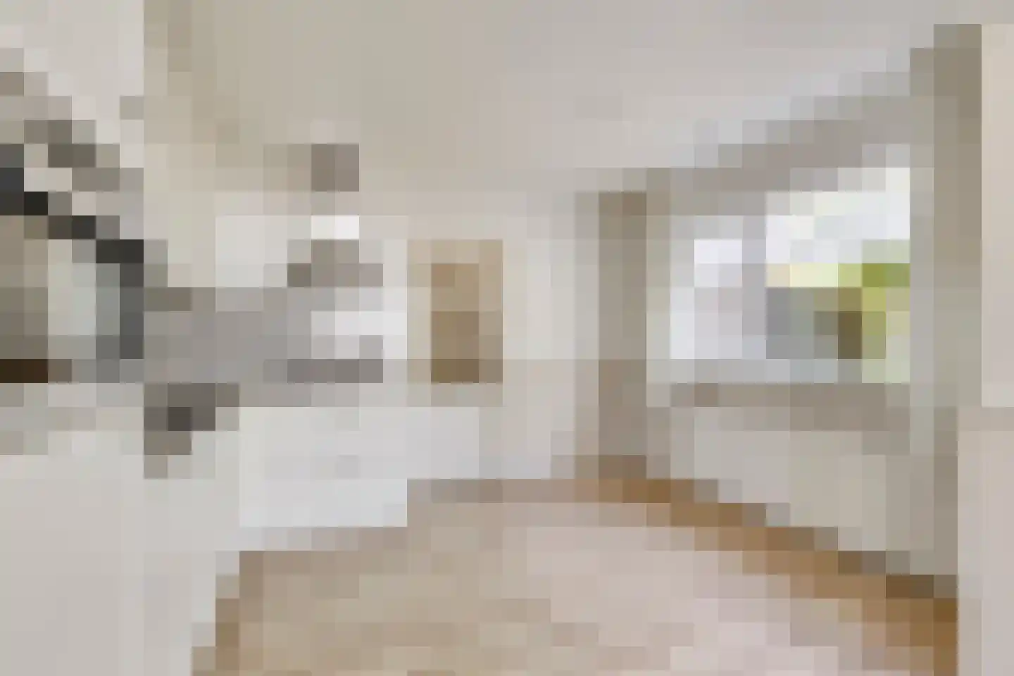 Elsstraat 39 Huissen thumbnail 11