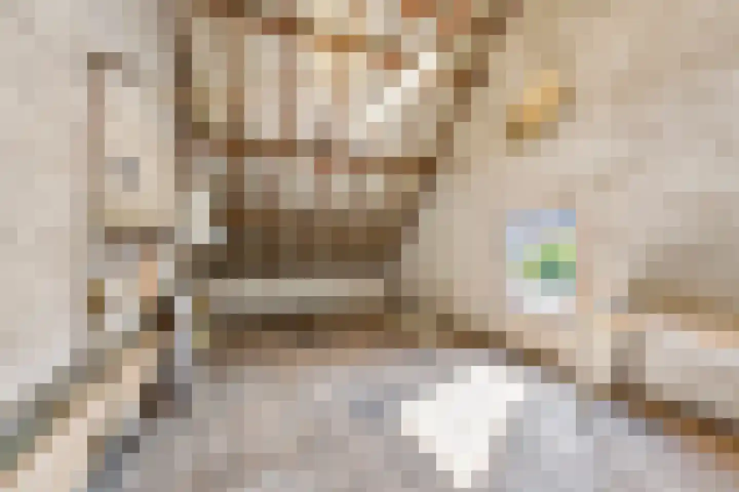 Elsstraat 39 Huissen thumbnail 34