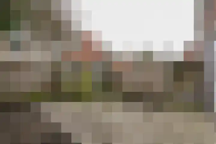 Elsstraat 47 Utrecht thumbnail 26