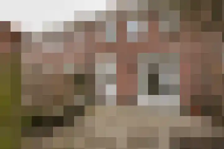 Elsstraat 47 Utrecht thumbnail 27