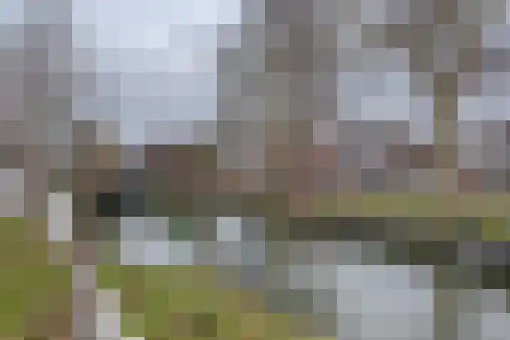 Elsstraat 47 Utrecht thumbnail 32