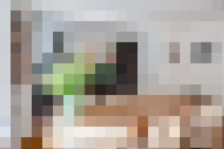 Elsstraat 49 Utrecht thumbnail 18