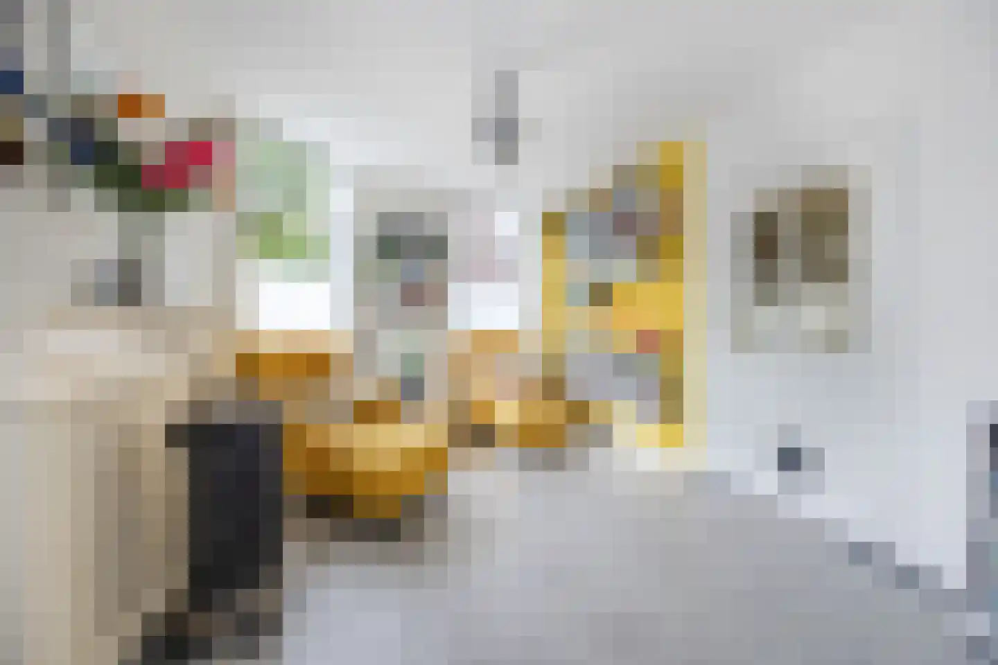 Elsstraat 5 Bergen op Zoom thumbnail 13