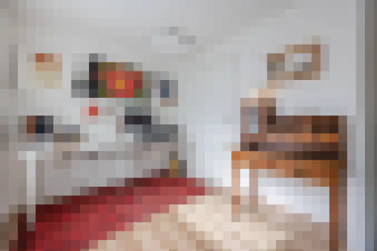 Elsstraat 5 Bergen op Zoom thumbnail 30