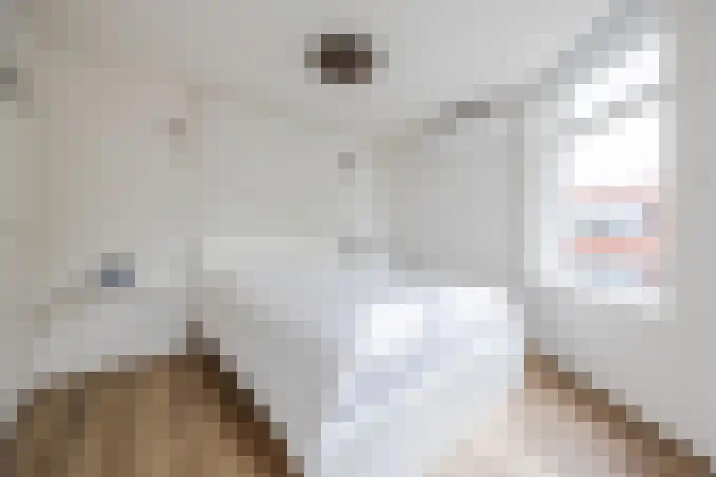 Elsstraat 5 Bergen op Zoom thumbnail 4