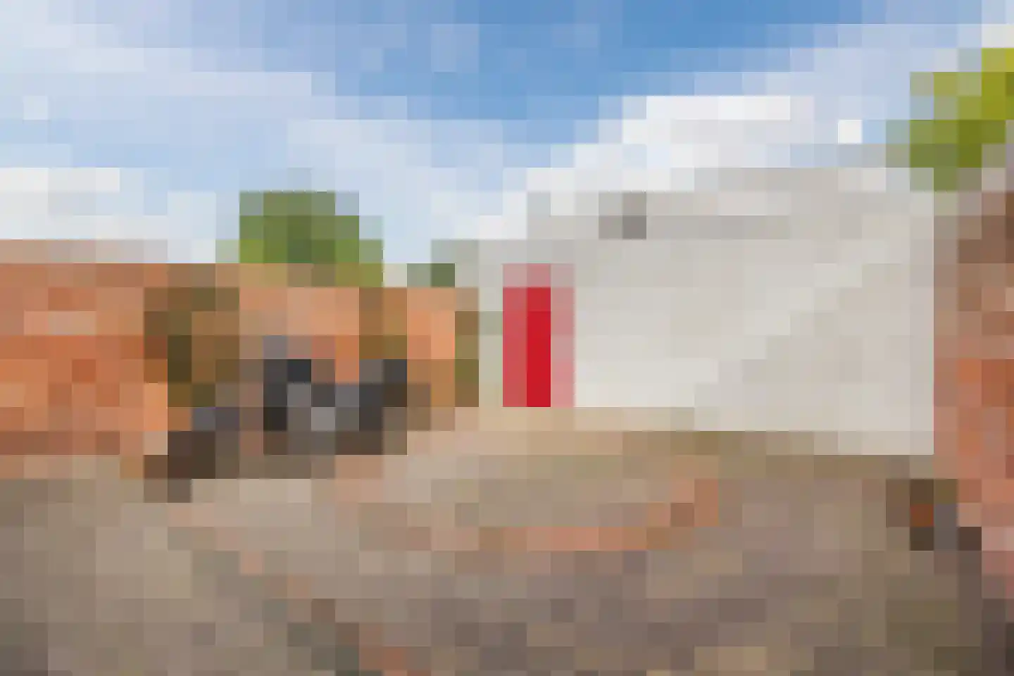 Elsstraat 5 Bergen op Zoom thumbnail 42