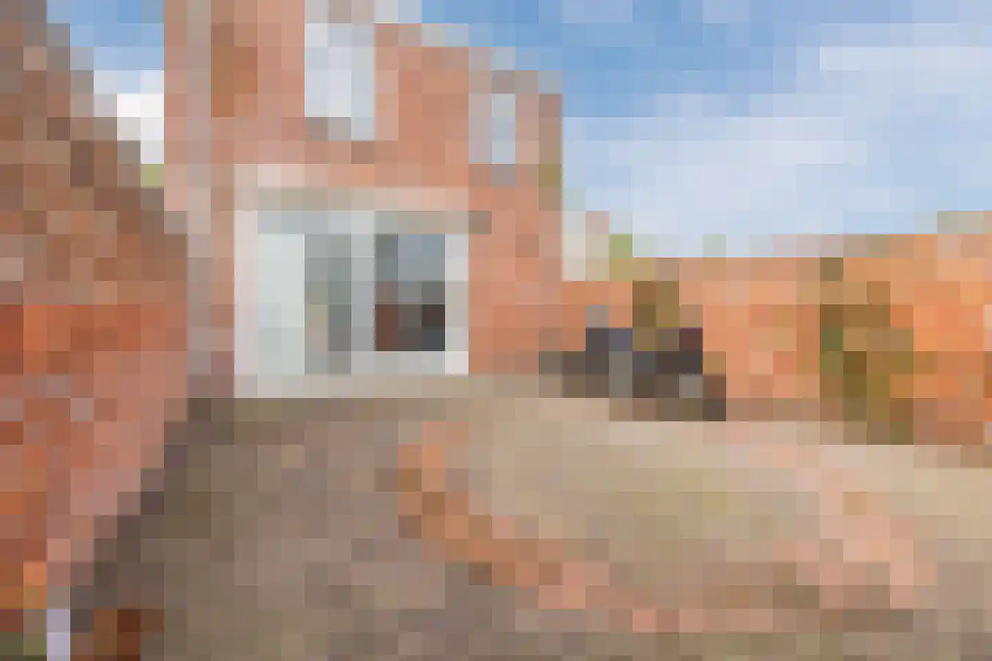 Elsstraat 5 Bergen op Zoom thumbnail 43