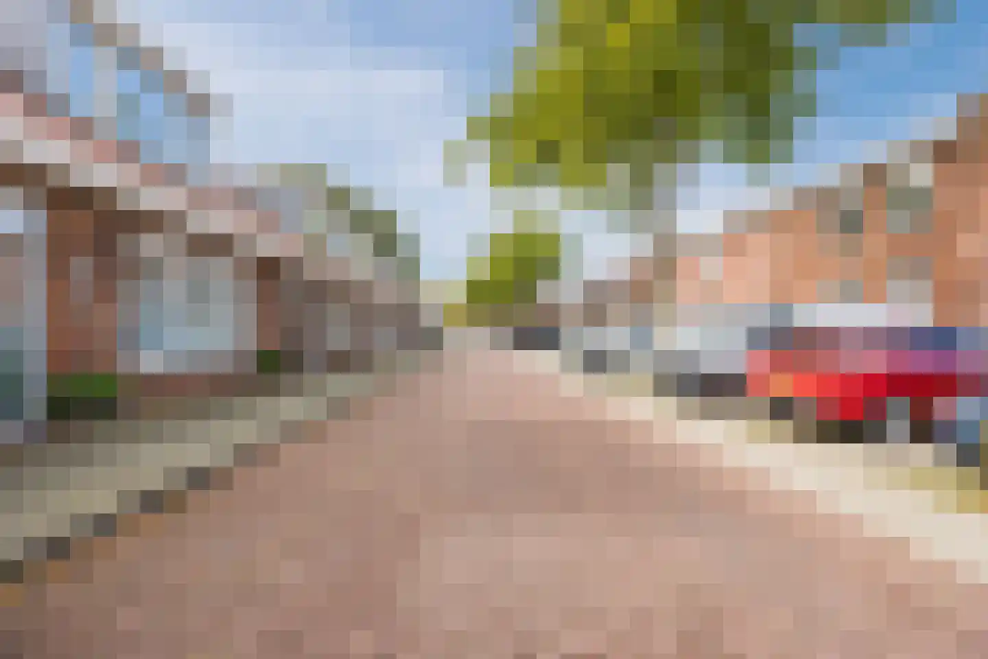 Elsstraat 5 Bergen op Zoom thumbnail 49