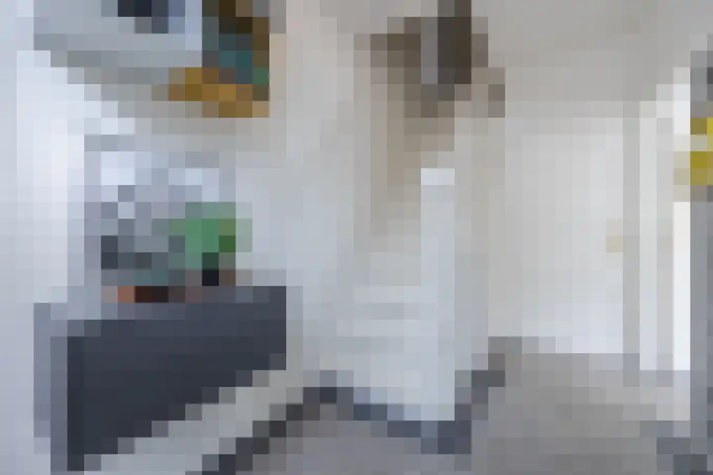 Elsstraat 5 Bergen op Zoom thumbnail 7